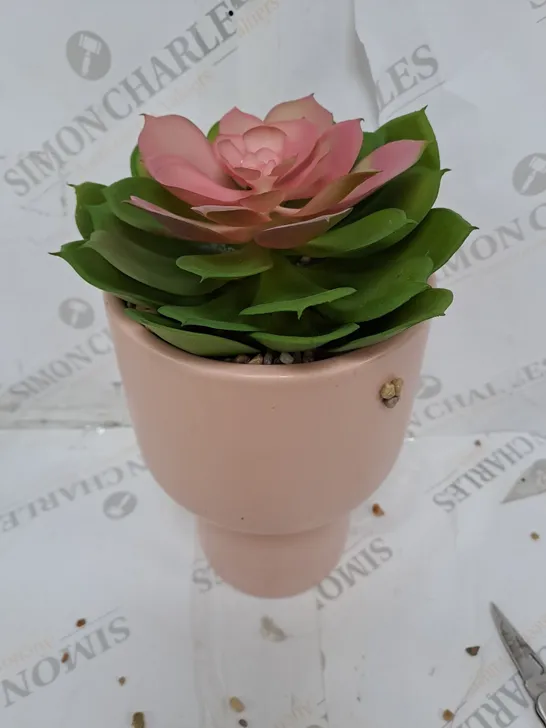 BUNDLEBERRY BY AMANDA HOLDEN STANDING PLANTER WITH FAUX SUCCULENT