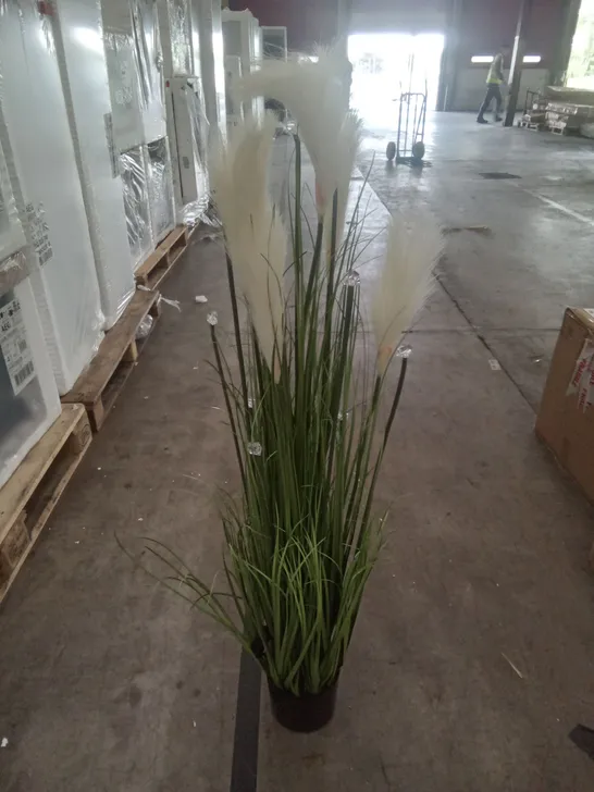 BOXED LED PAMPASS GRASS ARTIFICIAL PLANT - IVORY 