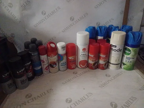 LOT OF HOUSEHOLD ITEMS TO INCLUDE RAIN & STAIN PROTECTOR , HEAT SPRAY , ETC