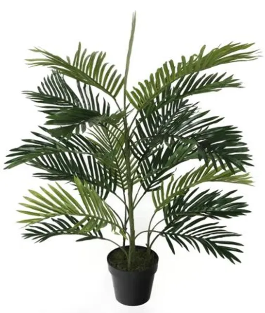 BOXED 100CM FAUX PALM PLANT IN POT LINER (1 BOX)