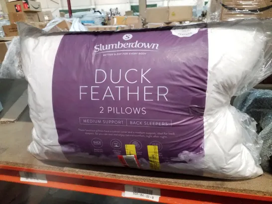 BAGGED SLUMBERDOWN DUCK FEATHER PILLOW MEDIUM SUPPORT BACK SLEEPER PILLOW - SET OF 2 (1 ITEM)