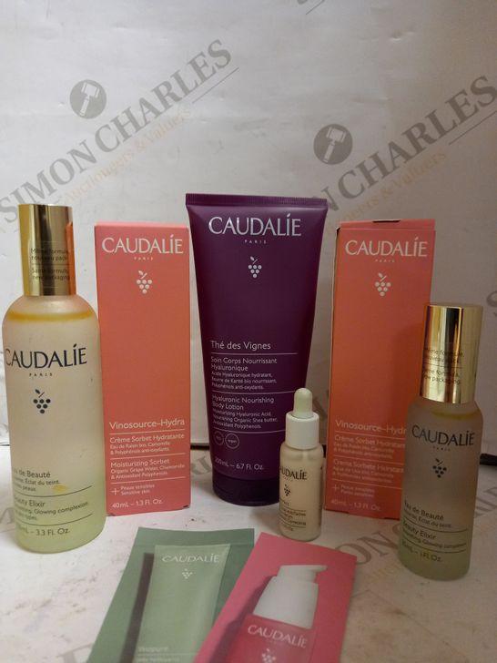 CAUDALIE PARIS - SKINCARE COLLECTION INCLUDING ELIXIR, SORBET, HYALURONIC LOTION AND RADIANCE SERUM