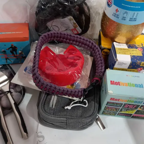 LOT OF ASSORTED ITEMS TO INCLUDE / STELLA GARLIC PRESS/ MOTIVATION CARDS AND LED STRINGS 