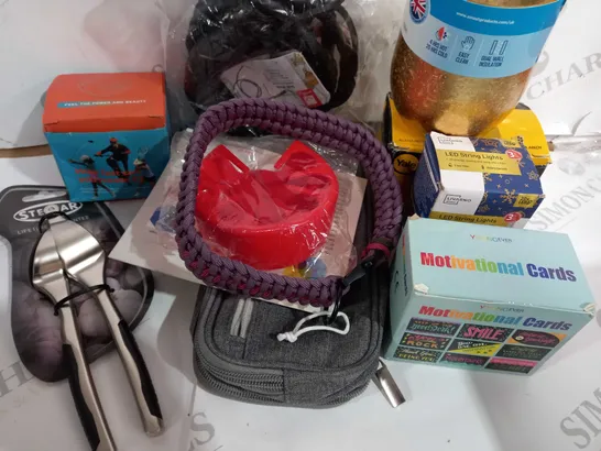 LOT OF ASSORTED ITEMS TO INCLUDE / STELLA GARLIC PRESS/ MOTIVATION CARDS AND LED STRINGS 