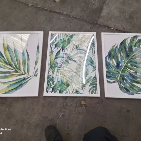 BOXED ABSTRACT BOTANICAL TROPICAL FLORA IN GREEN - 3 PIECE PICTURE SET