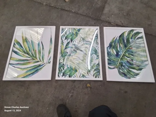 BOXED ABSTRACT BOTANICAL TROPICAL FLORA IN GREEN - 3 PIECE PICTURE SET