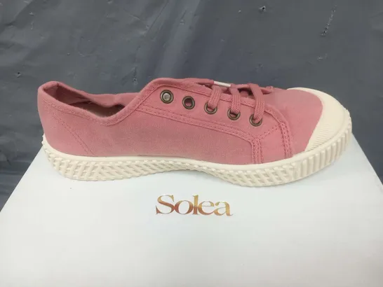 BOXED SOLEA BUMP PALE PINK CANVAS SNEAKERS SIZE 36