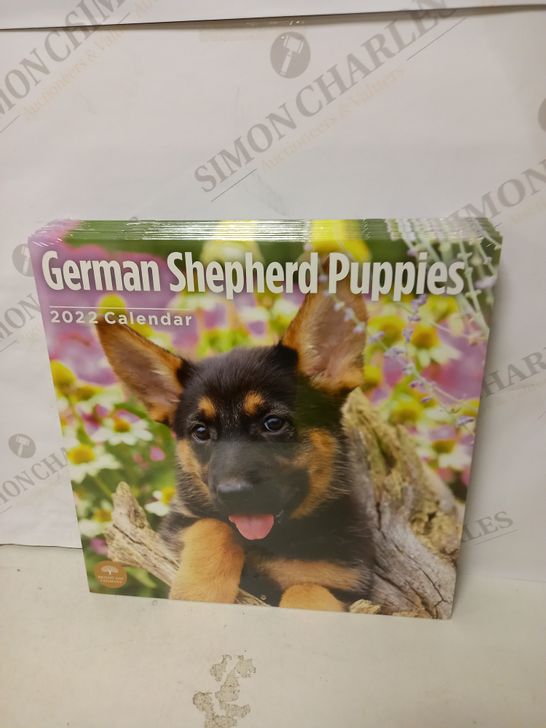 LOT OF 10 GERMAN SHEPHERD PUPPIES CALENDERS - 2022