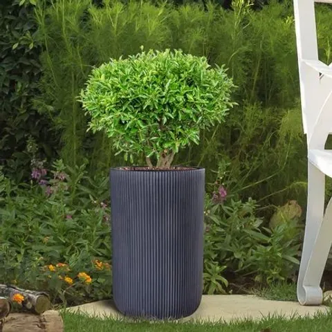 BOXED IDEALIST RIBBED BLACK CYLINDER PLANT POT