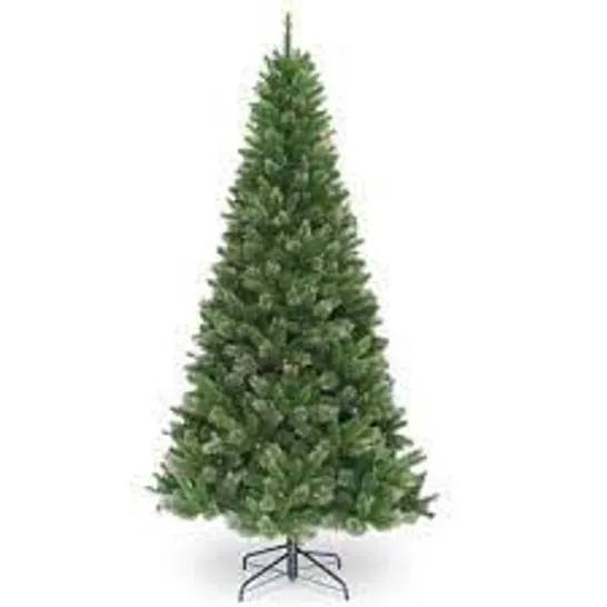 BOXED TIFFANY FIR 7FT TREE