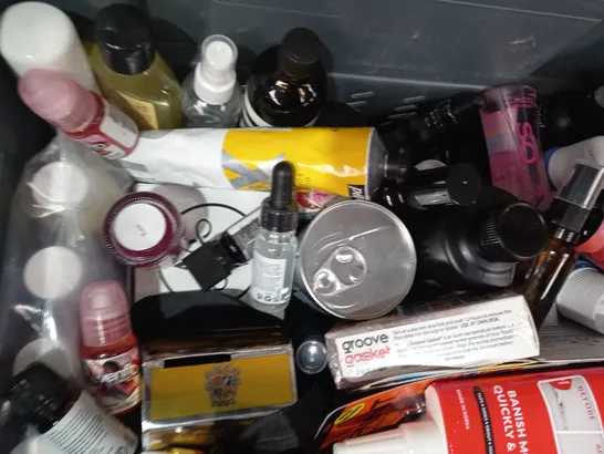 LOT OF APPROXIMATELY 20 ASSORTED HOUSEHOLD ITEMS TO INCLUDE MOULD MAGIC, HAPPY HIPPY SHOWER GEL, GORILLA GLUE, ETC