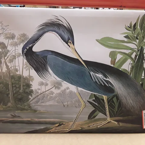 LOUISIANA HERON BY JOHN AUDUBON - FLOATER FRAME PAININTING ON CANVAS 