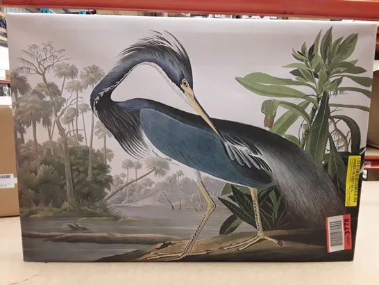 LOUISIANA HERON BY JOHN AUDUBON - FLOATER FRAME PAININTING ON CANVAS 