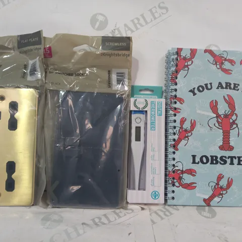 LOT OF APPROXIMATELY 15 ASSORTED HOUSEHOLD ITEMS TO INCLUDE FRIENDS YOU ARE MY LOBSTER NOTEBOOK, DIGITAL THERMOMETER, KNIGHTSBRIDGE 2G DP SWITCHED SOCKET, ETC