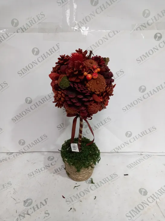 BOXED DESIGNER DECORATIVE PLANT