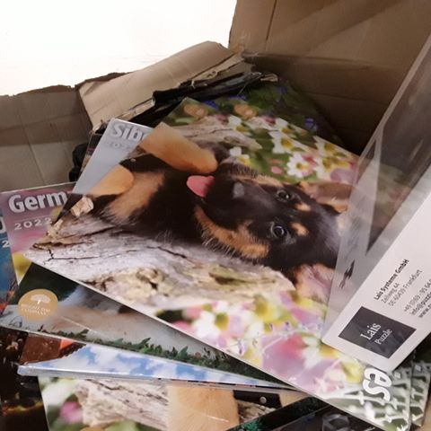 BOX OF ASSORTED ITEMS INCLUDING A 100 PIECE JIGSAW PUZZLE, APPROXIMATELY 20 ASSORTED DOG 2022 CALENDERS, 2021-2022 ACADEMIC PLANNERS, EATER EGG EGG DECORATIONS, ARTIFICIAL BLUE VINE ROSES, ECT