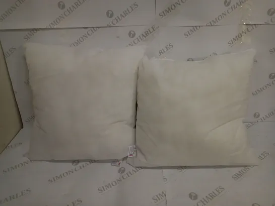 PAIR OF CUSHIONS IN WHITE