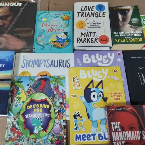 LARGE QUANTITY OF ASSORTED BOOKS TO INCLUDE SHARDS OF EARTH, LOVE TRIANGLE AND BLUEY ACTIVITY BOOKS  - COLLECTION ONLY