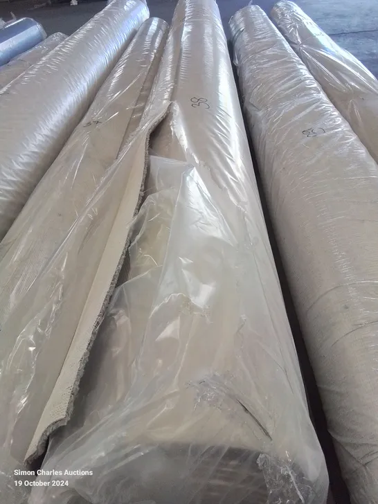 QUALITY ROLL OF SUPERTWIST ACTIONBACK 15.6 L X 4M W CARPET