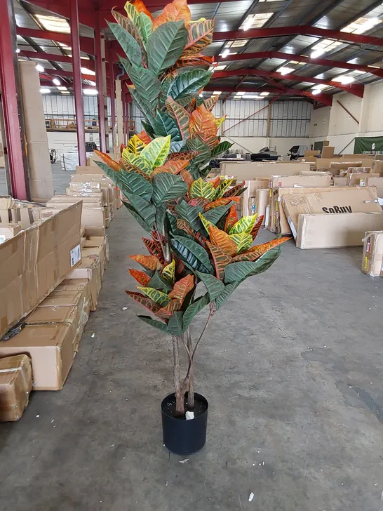 BOXED 140CM ARTIFICIAL CODIAEUM PLANT