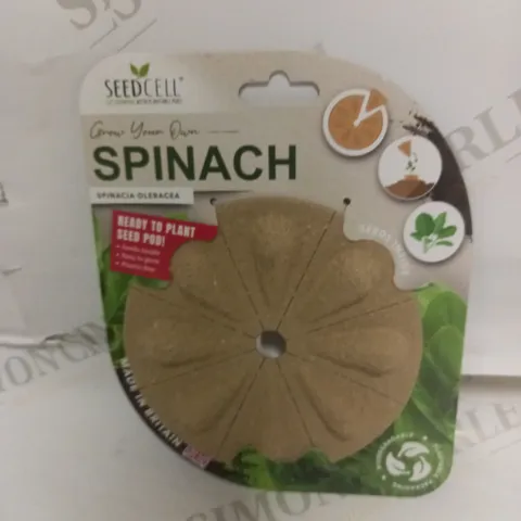 CASE OF 15 BRAND NEW SEEDCELL SPINACH SEED MULTIPACKS