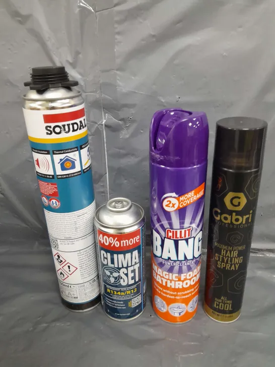 APPROXIMATELY 10 ASSORTED AEROSOLS TO INCLUDE , HAIR STYLING SPRAY , CILLIT BANG , SOUNDAFOAM , ETC 