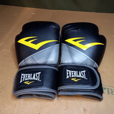 EVERLAST PRO STYLE ADVANCE TRAINING GLOVE (12OZ)