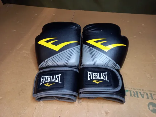 EVERLAST PRO STYLE ADVANCE TRAINING GLOVE (12OZ)