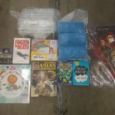 PALLET OF ASSORTED ITEMS INCLUDING THE COMPLETE ASIAN COOKBOOK, THE FAULT IN OUR STARS BOOK, SPONGE FILTERS, STRANGER THINGS POSTERS, SPICE RACK, CONTROLLER THUNBSTICKS