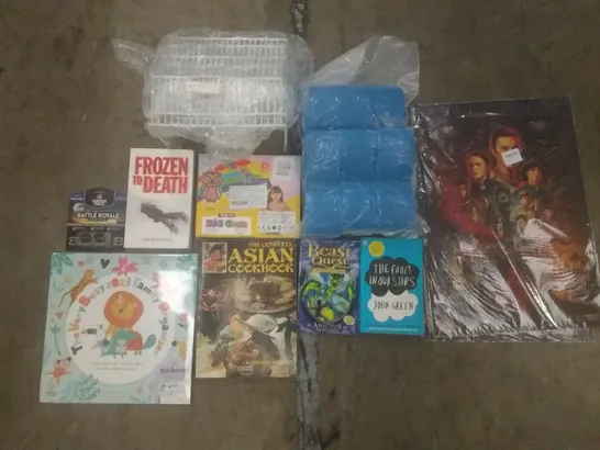 PALLET OF ASSORTED ITEMS INCLUDING THE COMPLETE ASIAN COOKBOOK, THE FAULT IN OUR STARS BOOK, SPONGE FILTERS, STRANGER THINGS POSTERS, SPICE RACK, CONTROLLER THUNBSTICKS