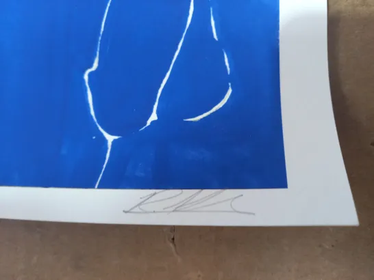 RICHARD KILROY SIGNED ARTWORK - CLOTHING OPTIONAL