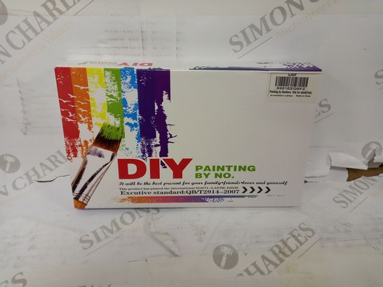 DIY PAINT IT BY NUMBERS KIT