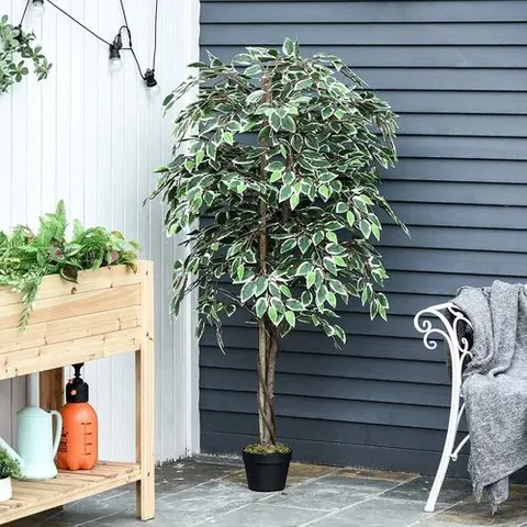 BOXED CHARLESTON 160CM FAUX FICUS TREE IN POT (1 BOX)