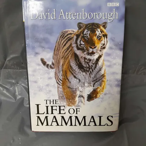 LIFE OF MAMMALS DAVID ATTENBOROUGH