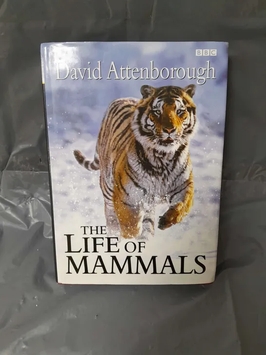 LIFE OF MAMMALS DAVID ATTENBOROUGH