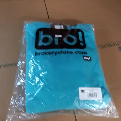 BAGGED BRO CHILL HOODIE IN TEAL - XXL