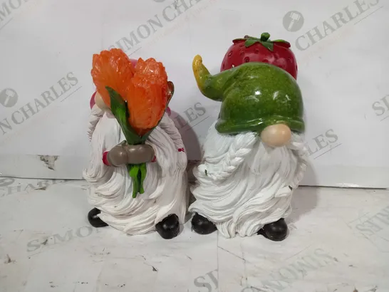 HOME2GARDEN SET OF 2 LED CARRYING GNOMES