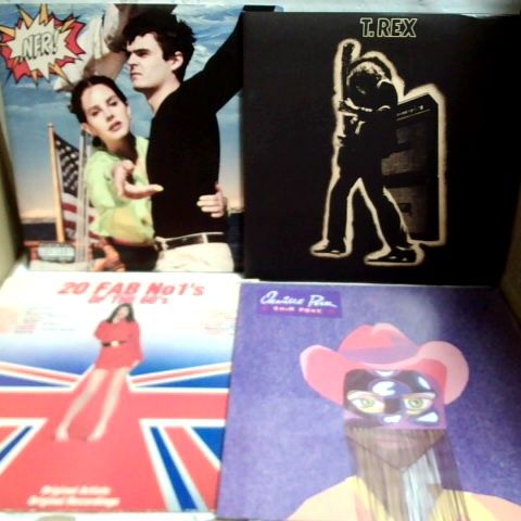 LOT OF APPROXIMATELY 12 VINYL RECORDS, TO INCLUDE LANA DEL REY, T REX, ORVILLE PECK, ETC