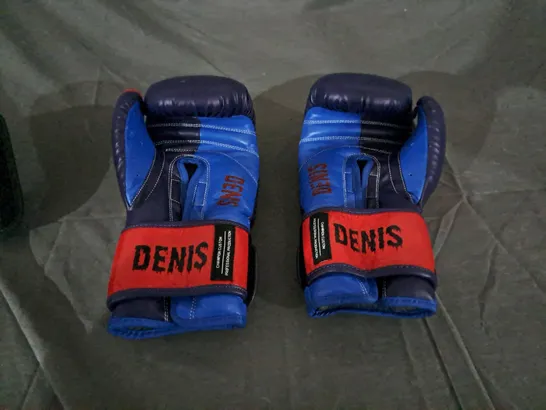 PAIR OF CUSTOMISED BOXING GLOVES