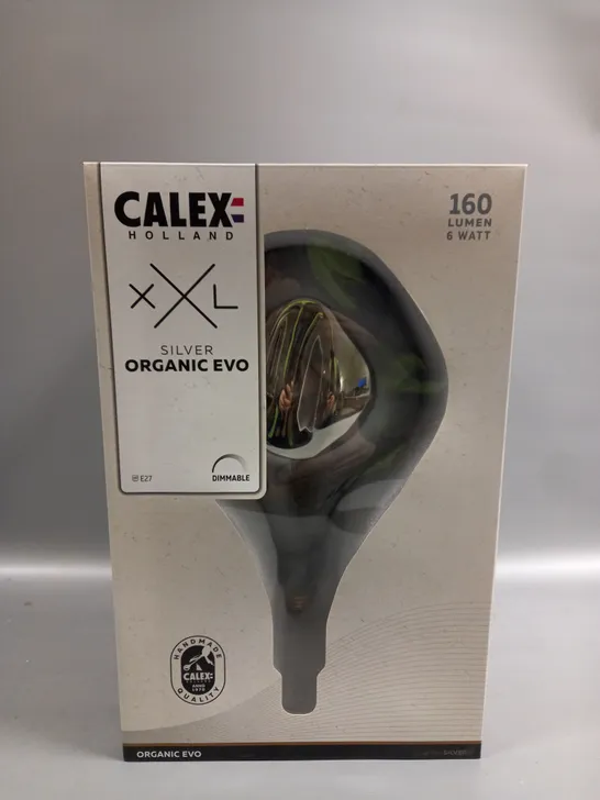 SET OF 2 CALEX HOLLAND SILVER ORGANIC EVO 160 LUMEN 6 WATT 