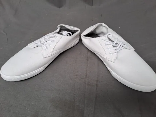 BOX OF APPROXIMATELY 5 PAIRS OF DESIGNER CANVAS SHOES IN WHITE IN VARIOUS SIZES