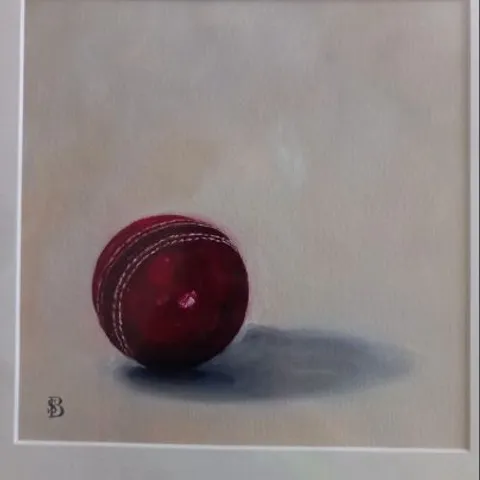 MOUNTED SOPHIE BOTSFORD CRICKET BALL PRINT