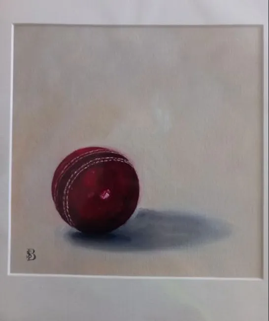 MOUNTED SOPHIE BOTSFORD CRICKET BALL PRINT