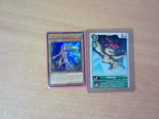 LOT OG 2 ASSORTED GAMING CARDS TO INCLUDE YU-GI-OH! PALLADIUM ORACLE MAHAD CARD AND DIGIMON PALMON CARD