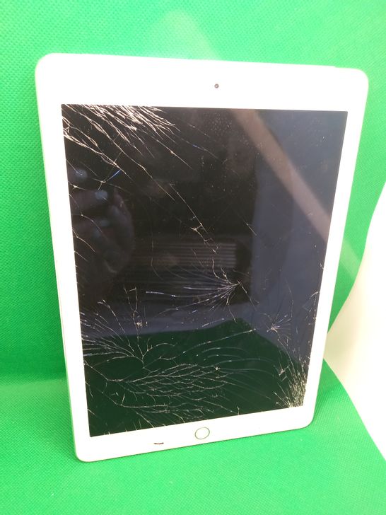 APPLE IPAD SILVER A1567