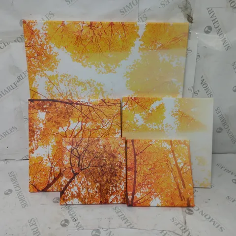 BOXED EAST URBAN HOME GOLDEN AUTUMN FOREST PHOTOGRAPHIC ART PRINT MULTI-PIECE IMAGE ON CANVAS