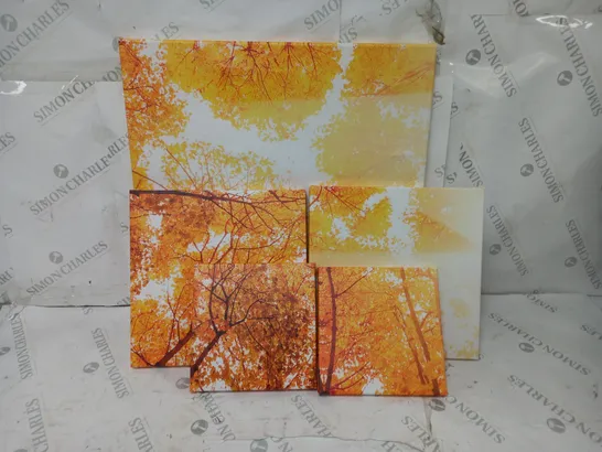 BOXED EAST URBAN HOME GOLDEN AUTUMN FOREST PHOTOGRAPHIC ART PRINT MULTI-PIECE IMAGE ON CANVAS