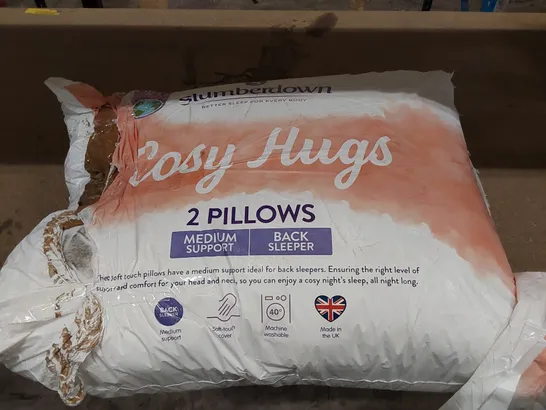 BAGGED SLUMBERDOWN COSY HUGS MEDIUM BACK SUPPORT PILLOWS - SET OF 2 (1 ITEM)