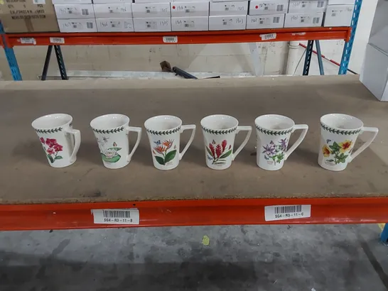 BOXED EXOTIC BOTANIC GARDEN 6 PIECE MANDARIN MUGS 