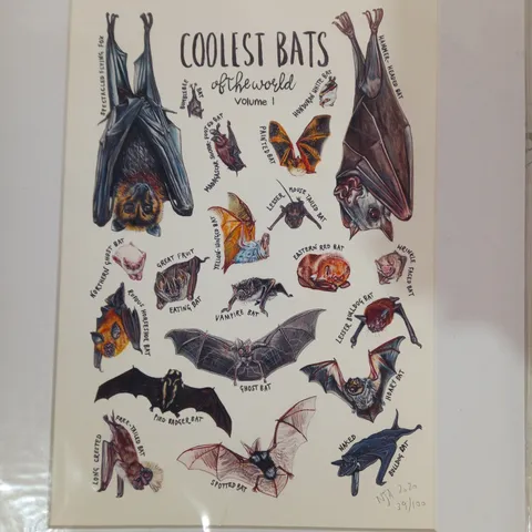 LIMITED EDITION COOLEST BATS OF THE WORLD VOLUME 1 PAINTING - NAOMI JOY ART (2020) 39/100